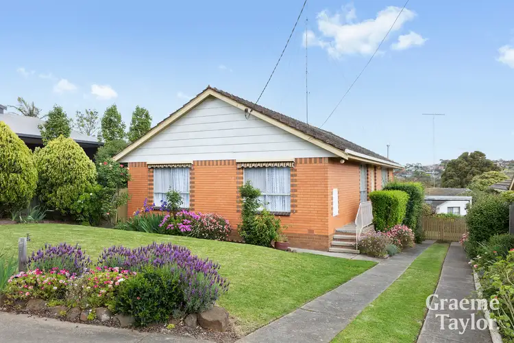 99 Camden Road, Newtown VIC 3220
