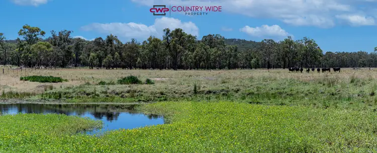 Sixth view of Homely rural property listing, 1608 Torrington Road, Stannum NSW 2371