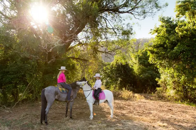 LOT 13 Cedar Hills Road, Little Forest NSW 2538