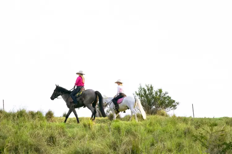 Second view of Homely rural property listing, LOT 13 Cedar Hills Road, Little Forest NSW 2538
