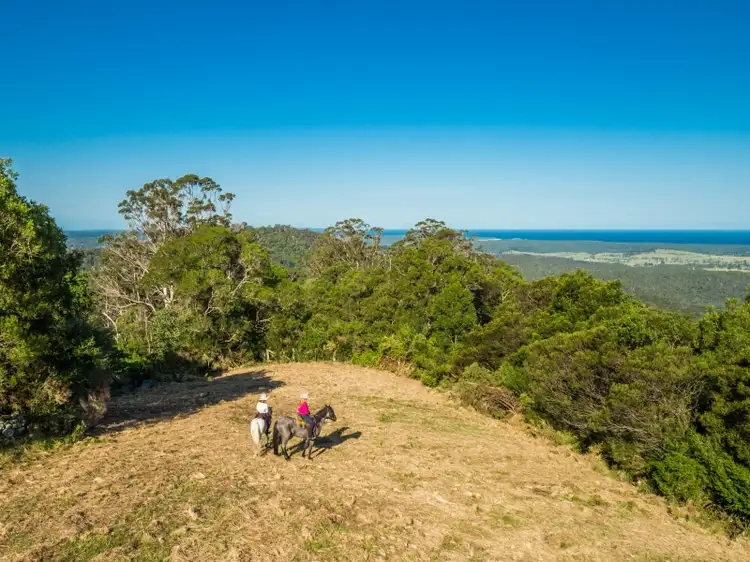 Sixth view of Homely rural property listing, LOT 13 Cedar Hills Road, Little Forest NSW 2538