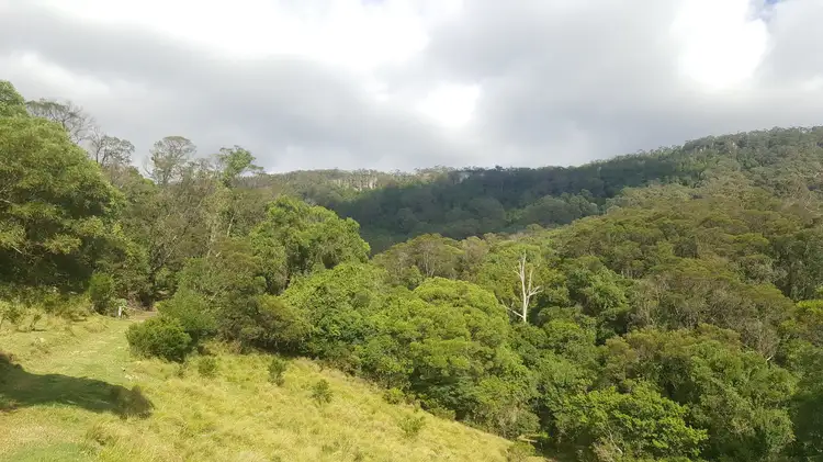 Seventh view of Homely rural property listing, LOT 13 Cedar Hills Road, Little Forest NSW 2538