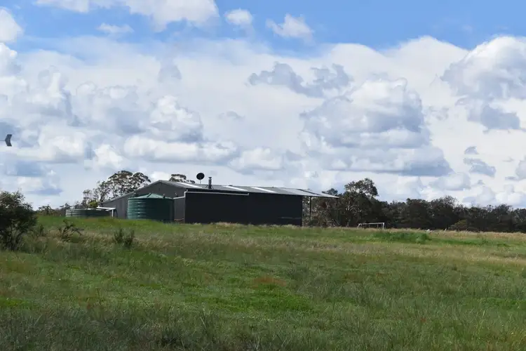 Sixth view of Homely rural property listing, LOT 133 Boro Road, Boro NSW 2622