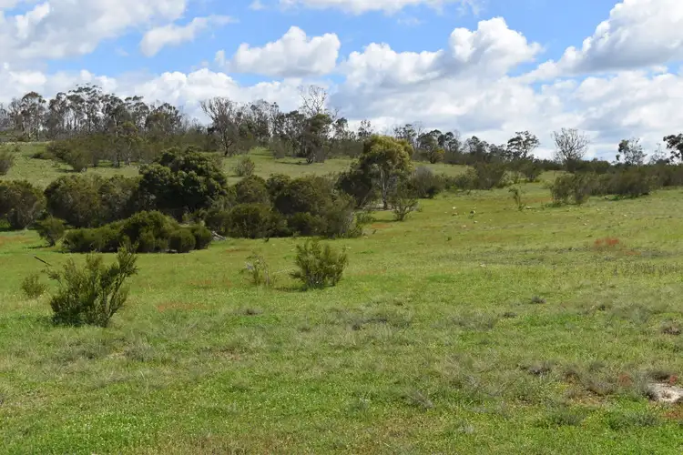Seventh view of Homely rural property listing, LOT 133 Boro Road, Boro NSW 2622