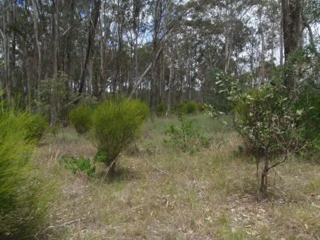 Fifth view of Homely rural property listing, 129/Lot 129 Franks Road, Blackbutt QLD 4314