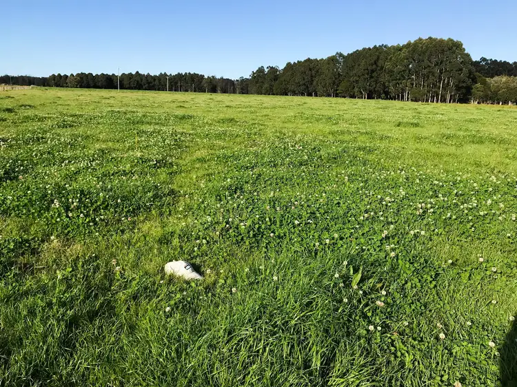 Second view of Homely land listing, 43 Redbank Road, Pampoolah NSW 2430