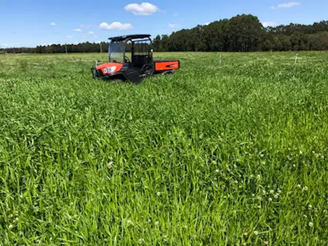 Fifth view of Homely land listing, 43 Redbank Road, Pampoolah NSW 2430