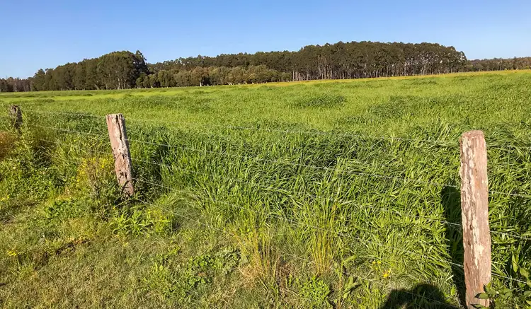 Sixth view of Homely land listing, 43 Redbank Road, Pampoolah NSW 2430