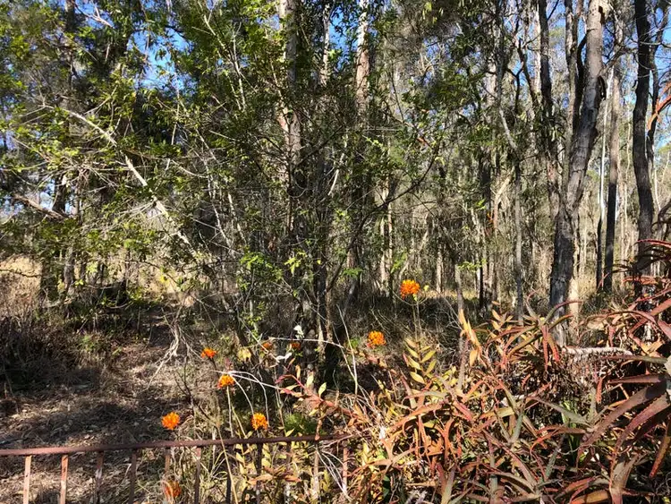 Seventh view of Homely house listing, 4408-4414 Mount Lindesay Highway, Munruben QLD 4125