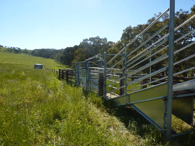 Main view of Homely rural property listing, sec 10 Schofields Fire Track, Paris Creek SA 5201