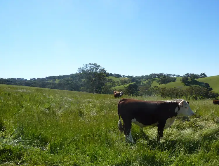 Fifth view of Homely rural property listing, sec 10 Schofields Fire Track, Paris Creek SA 5201