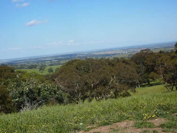 Main view of Homely rural property listing, sec 11 Schofields Fire Track, Paris Creek SA 5201