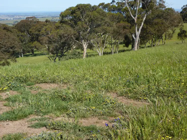 Second view of Homely rural property listing, sec 11 Schofields Fire Track, Paris Creek SA 5201