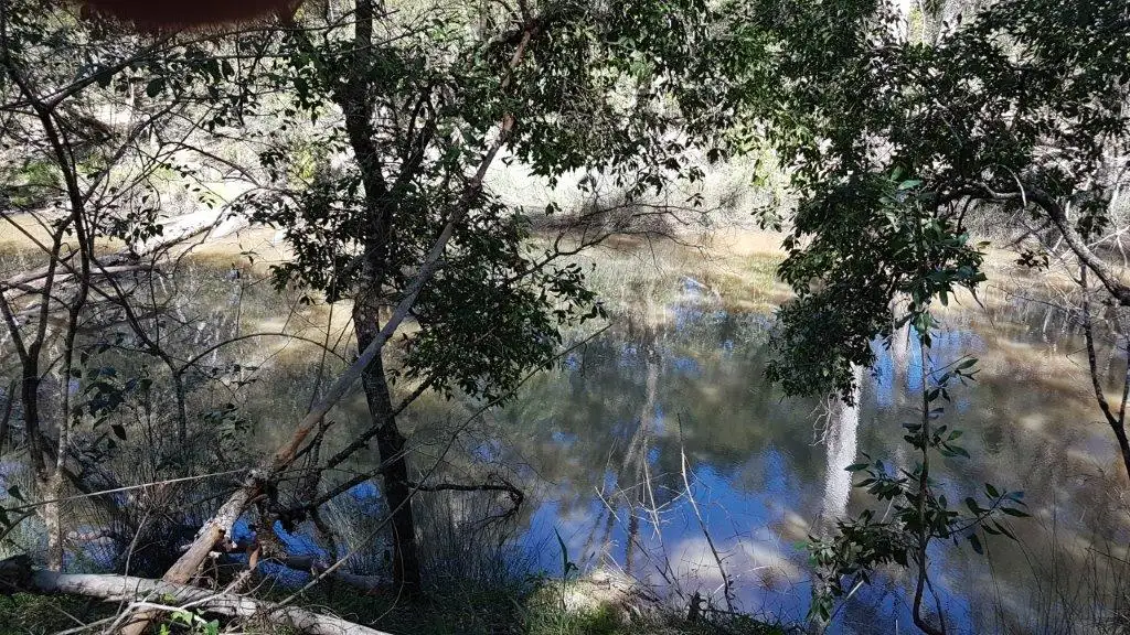 Main view of Homely land listing, 7041 Summerland Way, Myrtle Creek NSW 2469