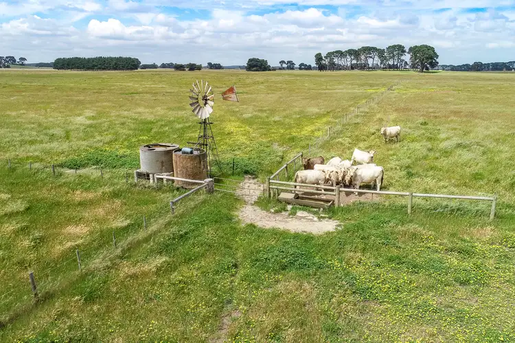 Sixth view of Homely rural property listing, 344 Caroline Road, Yahl SA 5291