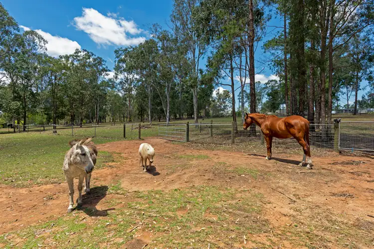Seventh view of Homely house listing, 2 Verbena Road, Tamborine QLD 4270