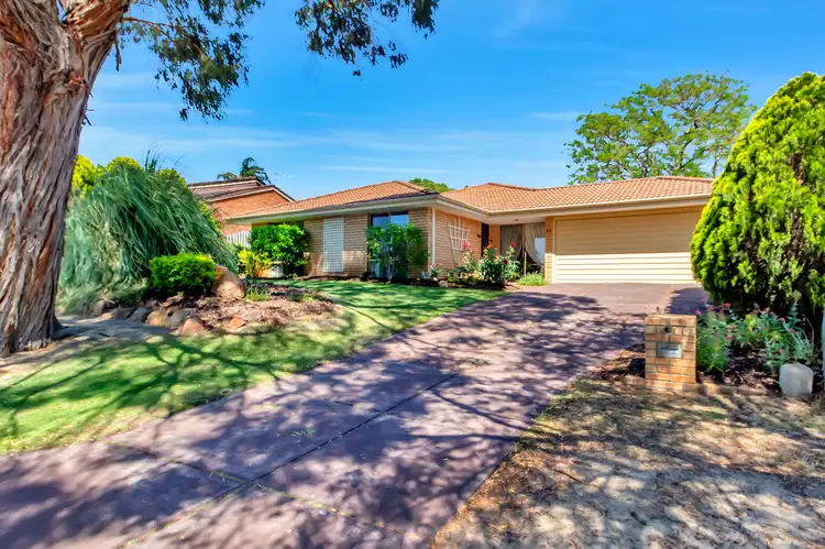 Main view of Homely house listing, 51 LEICESTER SQUARE, Alexander Heights WA 6064