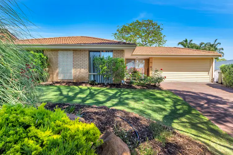 Second view of Homely house listing, 51 LEICESTER SQUARE, Alexander Heights WA 6064