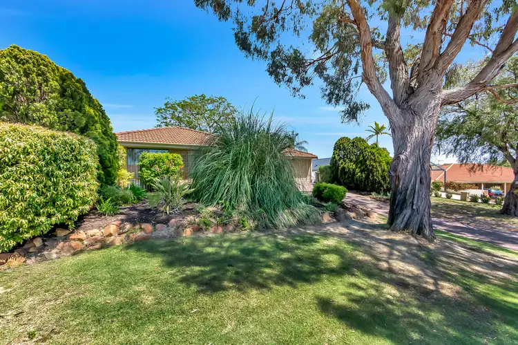 Third view of Homely house listing, 51 LEICESTER SQUARE, Alexander Heights WA 6064