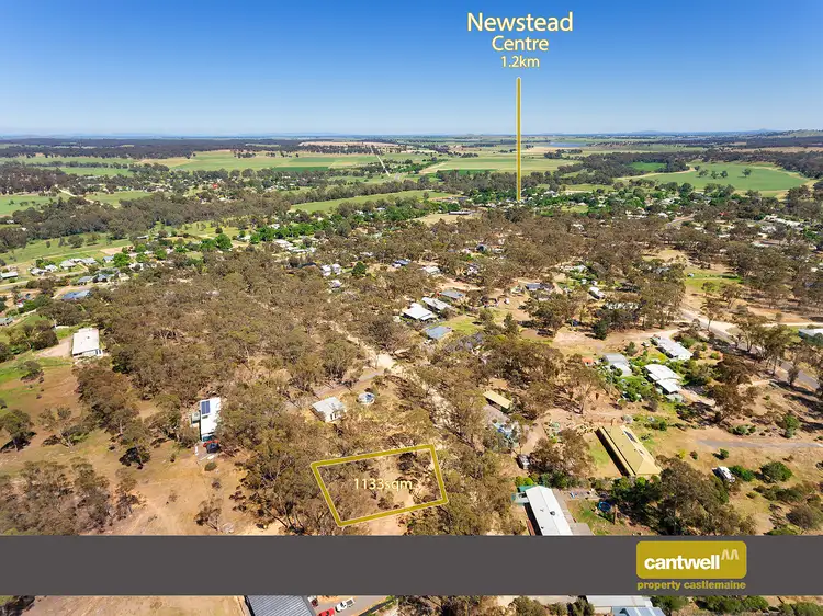 14 Palmerston Street, Newstead VIC 3462