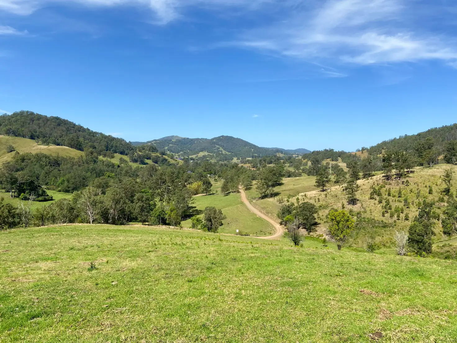 Main view of Homely rural property listing, 231 Little Run Road, Wherrol Flat NSW 2429