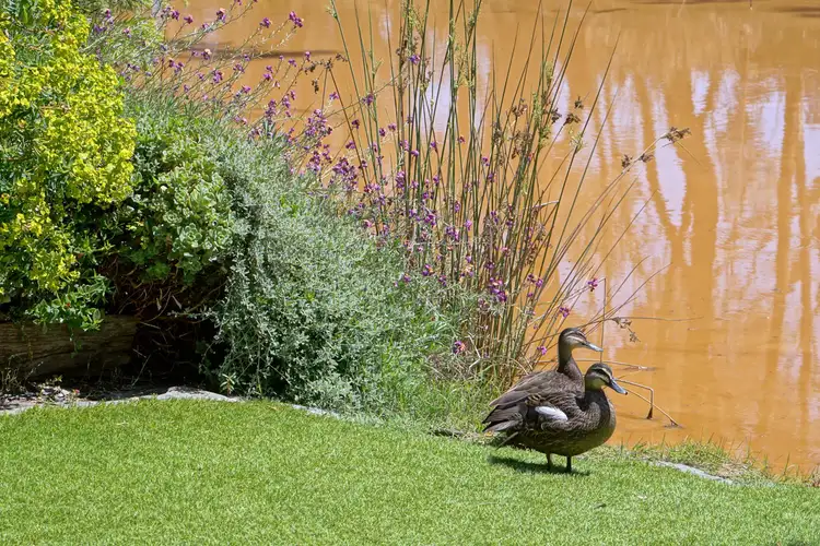 Fourth view of Homely rural property listing, 44 Poole Street, Maryborough VIC 3465