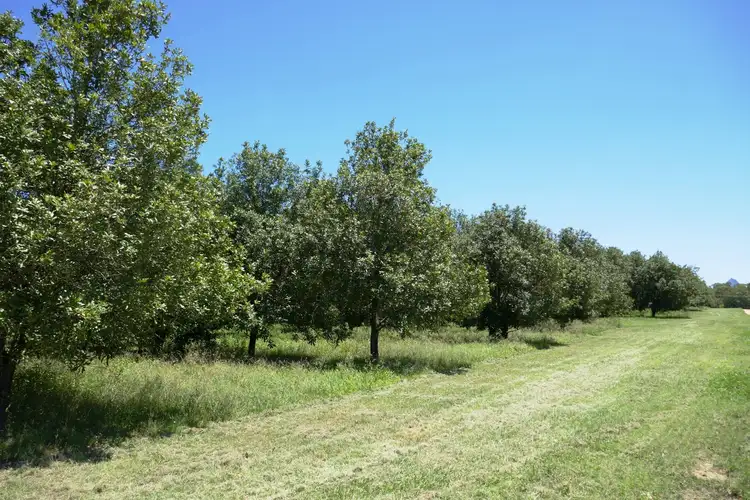 Second view of Homely land listing, Lot 6 Cook Road, Glass House Mountains QLD 4518