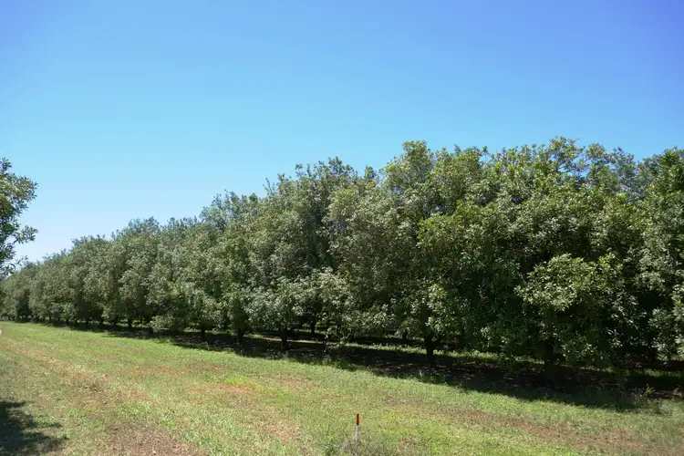 Fourth view of Homely land listing, Lot 6 Cook Road, Glass House Mountains QLD 4518