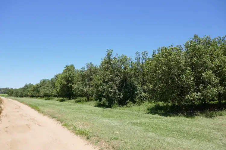 Sixth view of Homely land listing, Lot 6 Cook Road, Glass House Mountains QLD 4518