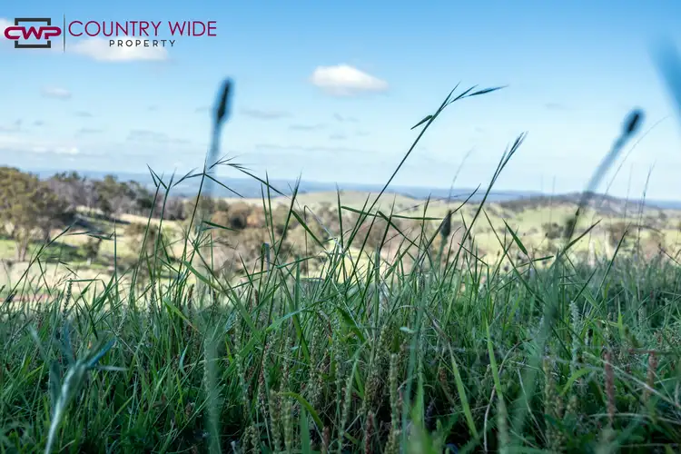 Sixth view of Homely rural property listing, 1339B Torrington Road, Stannum NSW 2371