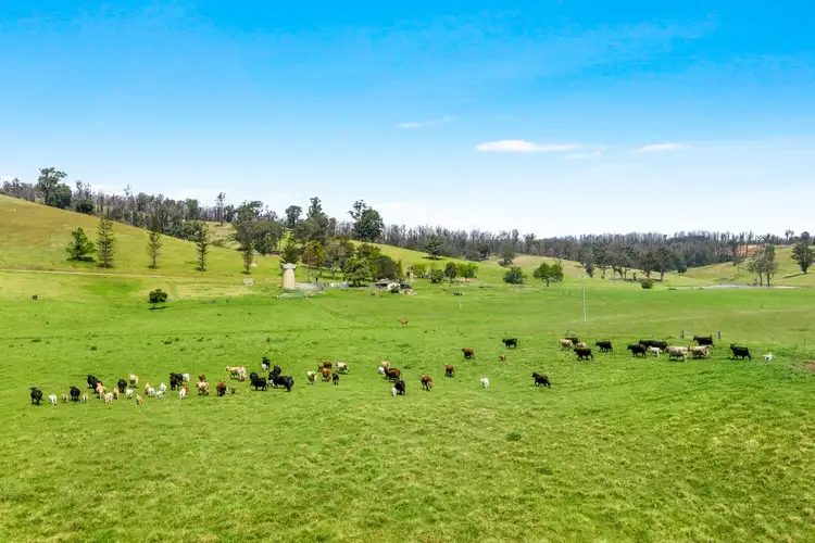 Fifth view of Homely rural property listing, 1188 Eurobodalla Road, Eurobodalla NSW 2545