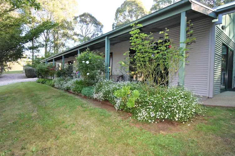 Main view of Homely house listing, 14 COOK LANE, Stanley VIC 3747