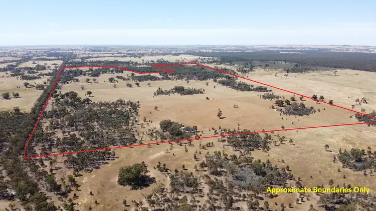 Main view of Homely rural property listing, LOT 2 Murphy's Lane, Toolleen VIC 3551