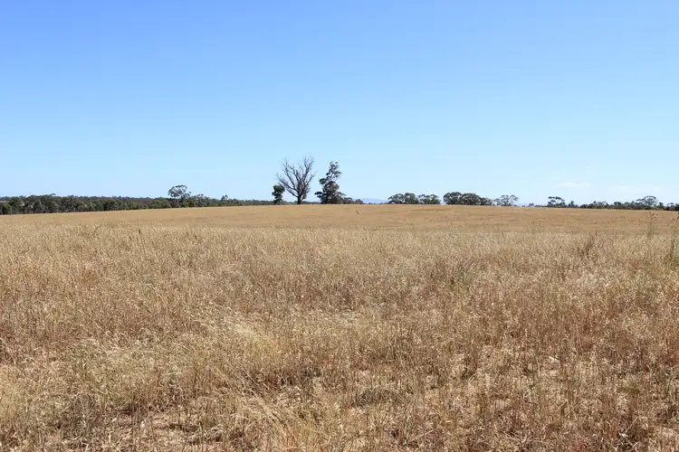 Seventh view of Homely rural property listing, LOT 2 Murphy's Lane, Toolleen VIC 3551