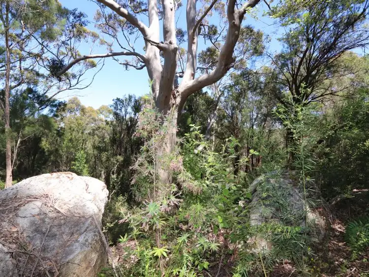 Main view of Homely rural property listing, 120 Myers Road, Denmark WA 6333