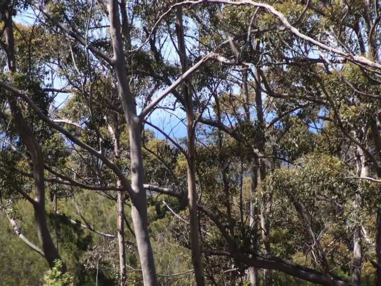 Sixth view of Homely rural property listing, 120 Myers Road, Denmark WA 6333