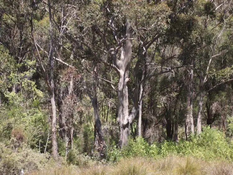 Seventh view of Homely rural property listing, 120 Myers Road, Denmark WA 6333