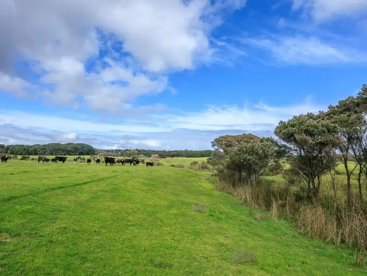 Fourth view of Homely rural property listing, Lot 1 Ficifolia Road, Denmark WA 6333