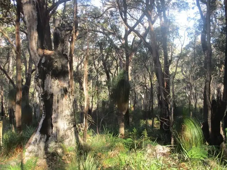 Fifth view of Homely land listing, Lot 4 Point Hillier Vista, Denmark WA 6333