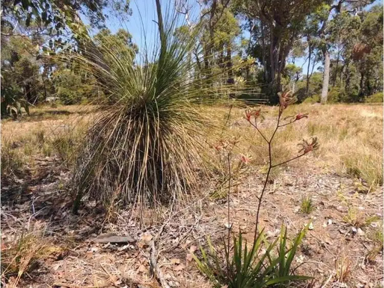 Sixth view of Homely land listing, Lot 20, 34 Karri Street, Walpole WA 6398
