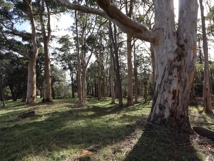 Sixth view of Homely land listing, Lot 2, 1261 Mount Shadforth Road, Denmark WA 6333