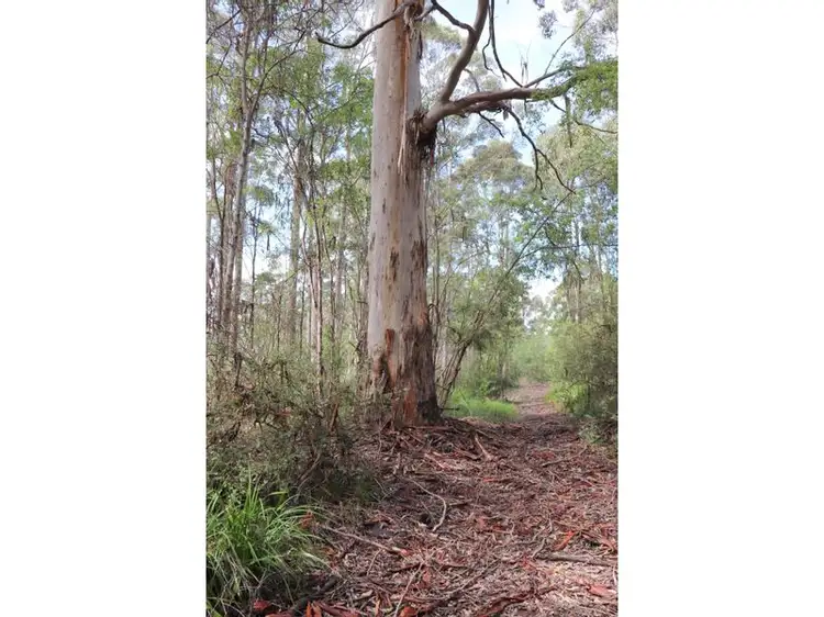 Lot 11 Cussons Road, Denmark WA 6333
