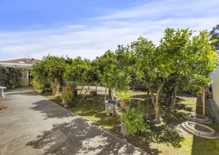 Seventh view of Homely house listing, 3 Munchenberg Avenue, Campbelltown SA 5074