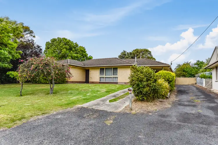 Main view of Homely house listing, 53 Williams Road, Millicent SA 5280