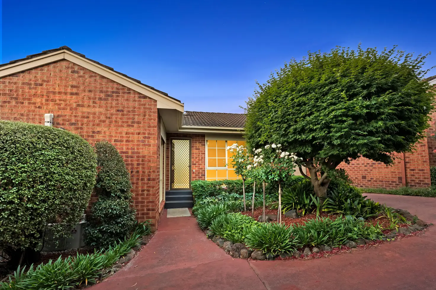 Main view of Homely unit listing, 3/29 Orchard Crescent, Mont Albert North VIC 3129