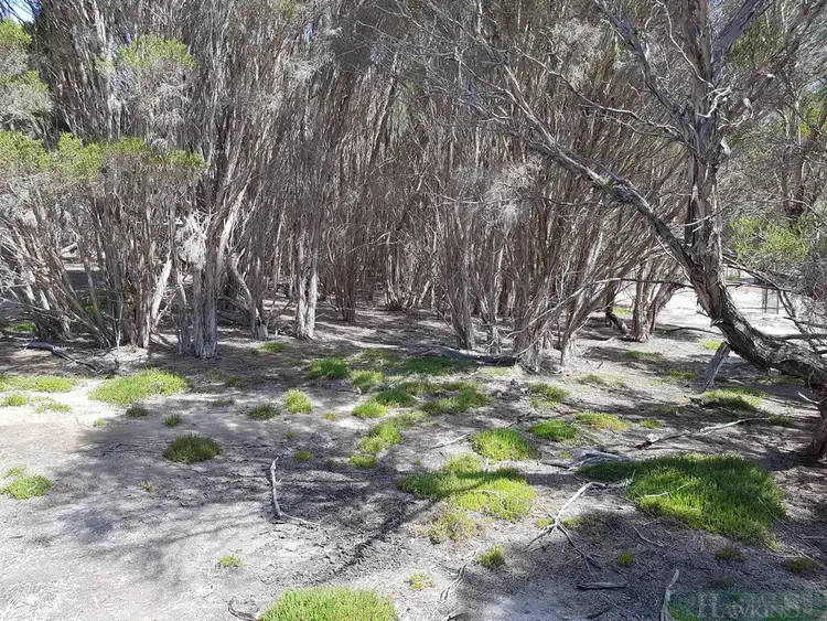 Fourth view of Homely land listing, 167 Mitchell Drive, Pelican Lagoon SA 5222