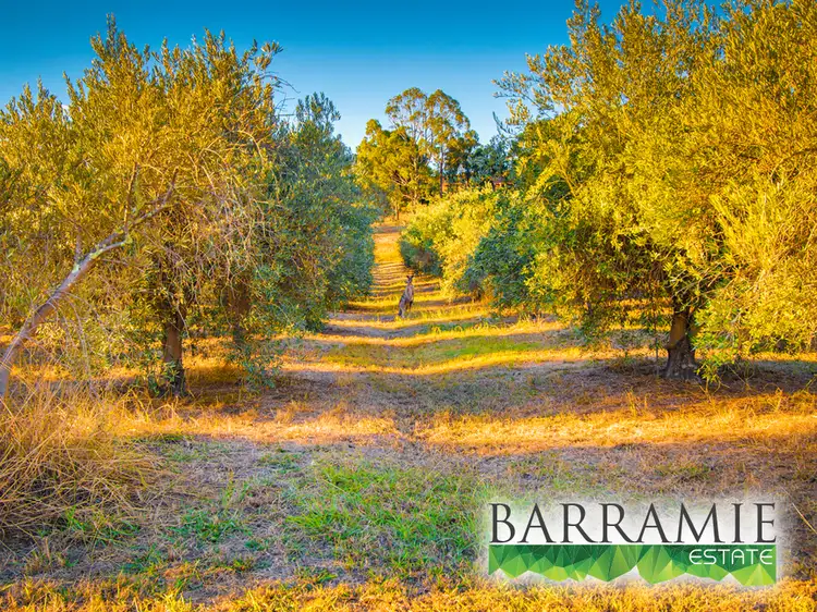 LOT 6 Mozart Court, Springdale Heights NSW 2641
