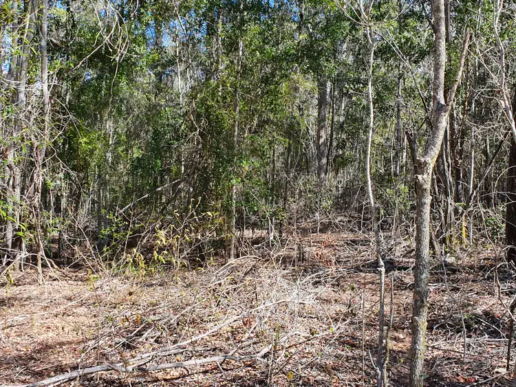 Third view of Homely rural property listing, LOT 161 Hardgrave Road, Benarkin QLD 4314