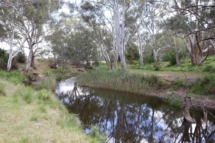 Main view of Homely rural property listing, LOT 10 Cambridge Street, Inverleigh VIC 3321