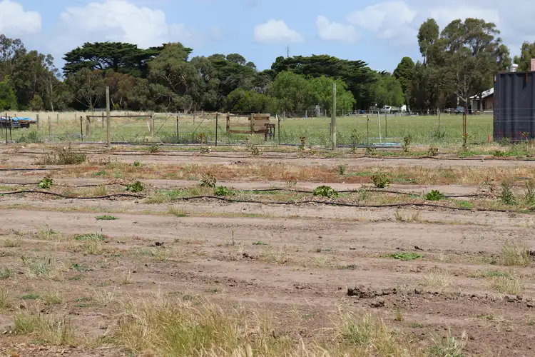 Fourth view of Homely rural property listing, LOT 10 Cambridge Street, Inverleigh VIC 3321
